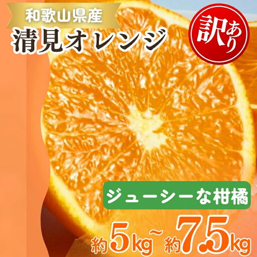 【ふるさと納税】 【ご家庭用訳アリ】紀州有田産清見オレンジ 約5kg 約7.5kg ※2026年3月下旬〜2026年4月中旬頃に順次発送予定(お届け日指定不可) 【ふるさと納税】 【ご家庭用訳アリ】紀州有田産清見オレンジ 約5kg 約7.5kg ※2026年3月下旬〜2026年4月中旬頃に順次発送予定(お届け日指定不可)