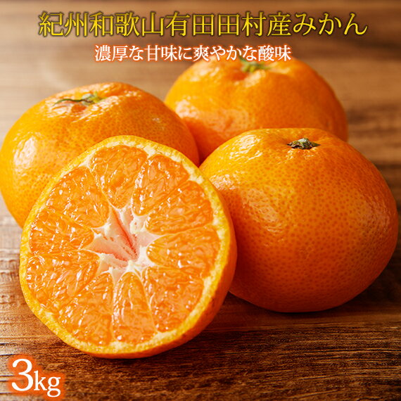 【ふるさと納税】【先行予約】高級ブランド 秀品 紀州有田田村産みかん 3kg ※2025年12月頃〜2026年1月下旬頃に順次発送予定 / みかん ミカン 蜜柑 温州みかん 柑橘 フルーツ 果物