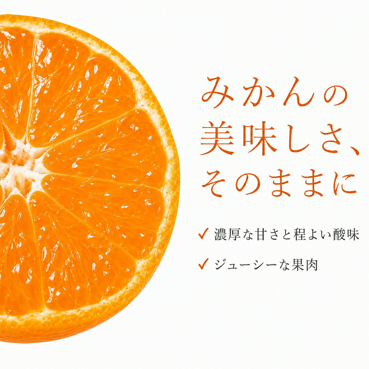 【ふるさと納税】 和歌山有田みかん10kg【訳ありご家庭用】2S〜2Lサイズ混合 ※2026年11月末頃から2026年12月下旬発送