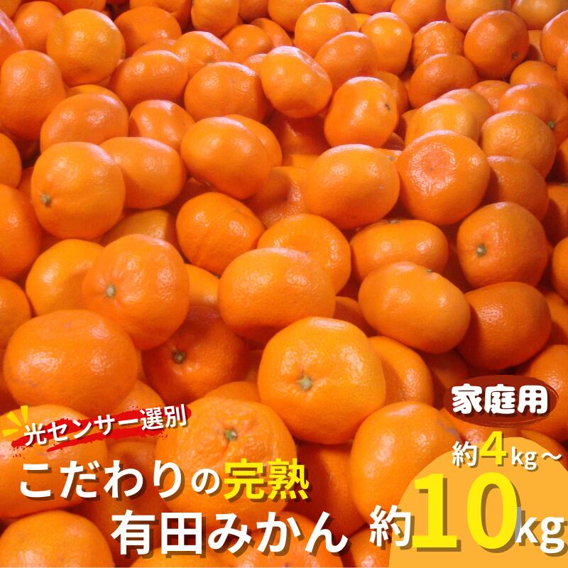 【ふるさと納税】 【容量・発送時期 選べる】【家庭用】こだわりの有田みかん 【4kg・8kg・10kg / 11月発送・12月発送・2024年1月発送から選べます】（日付指定不可） 有機質肥料100% 農家直送 みかん ミカン 蜜柑 柑橘 果物 くだもの フルーツ 温州みかんのサムネイル