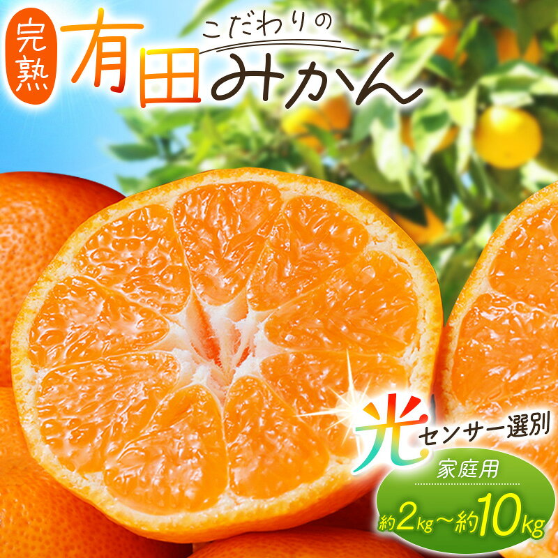 ڤդ뤵ǼǡۡľͭĤߤ
