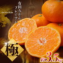 【ふるさと納税】 極 有田みかんプレミアム 約3.5kg【光センサー 高糖度選別品】2S〜Lサイズ 有機質肥料100% ※2025年11月下旬頃〜2026年1月...