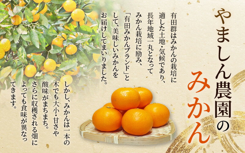 【ふるさと納税】 極 有田みかんプレミアム 容量選べる 約2kg 約3.5kg 約5kg 約10kg【光センサー 高糖度選別品】2S〜Lサイズ 有機質肥料100% ※2025年11月下旬頃〜2026年1月上旬頃に順次発送予定※北海道・沖縄・離島への配送不可