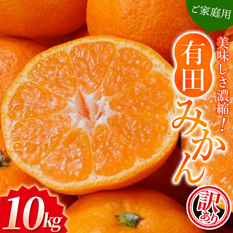 【ふるさと納税】＼光センサー選別／＼訳あり／ 有田みかん 約10kg 農家直送 【ご家庭用】 不揃い サイズ混合 ※2023年11月中旬より2024年1月中旬に順次発送予定（お届け日指定不可） 先行予約 みかん 訳ありみかん 温州みかん ミカン 有機質肥料100% 家庭用 自宅用のサムネイル