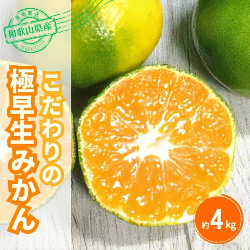 【ふるさと納税】 \光センサー選別/農家直送 こだわりの極早生みかん 約4kg 数量限定 有機質肥料100% サイズ混合 ※2025年9月下旬より順次発送予定(お届け日指定不可) 有田産 有田 みかん 【ふるさと納税】 \光センサー選別/農家直送 こだわりの極早生みかん 約4kg 数量限定 有機質肥料100% サイズ混合 ※2025年9月下旬より順次発送予定(お届け日指定不可) 有田産 有田 みかん