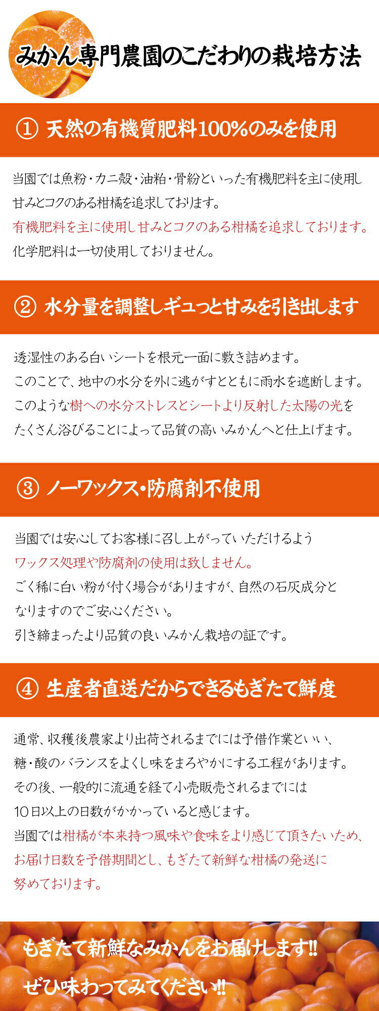 【ふるさと納税】【2022年秋以降発送予約分】＼農家直送／完熟有田みかんSサイズ　約10kg 有機質肥料100%　※2022年11月中旬より順次発送予定（お届け日指定不可）