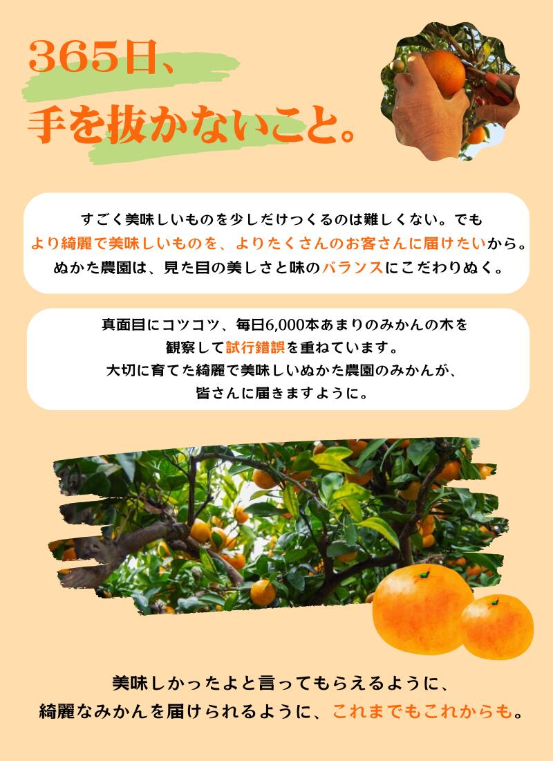 【ふるさと納税】 ＼光センサー選別／農家直送 こだわりの極早生みかん 約4kg 数量限定 有機質肥料100% サイズ混合 ※2025年9月下旬より順次発送予定（お届け日指定不可） 有田産 有田 みかん