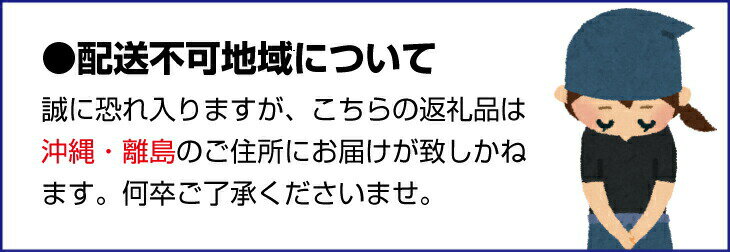 【ふるさと納税】【県認定エコファーマー】あんぽ柿用生渋柿（平たねなし柿） 約5.5〜6kg-AP