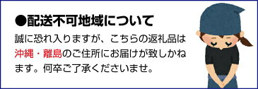 【ふるさと納税】【県認定エコファーマー】あんぽ柿用生渋柿(平たねなし柿) 約5.5〜6kg-AP