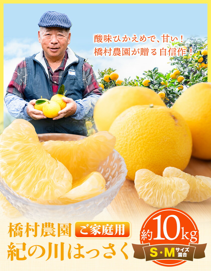 和歌山県紀の川市の画像2