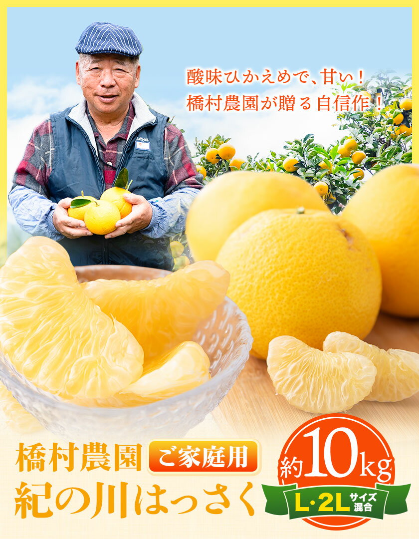 和歌山県紀の川市の画像2