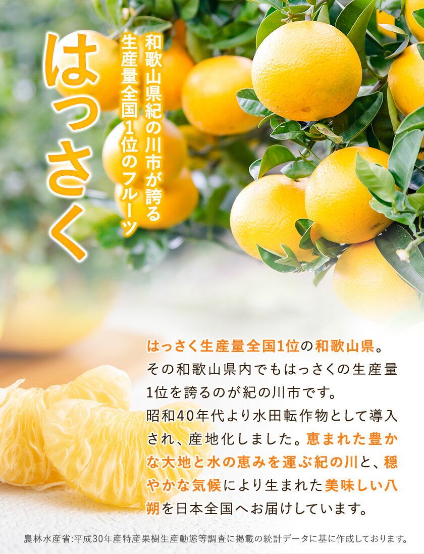 和歌山県紀の川市の画像3