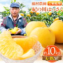 【先行予約】【ふるさと納税】【訳あり/ご家庭用】 紀の川はっさく 約10kg (L・2Lサイズ混合) 橋村農園《2025年12月中旬-2026年2月下旬出荷》ふ...