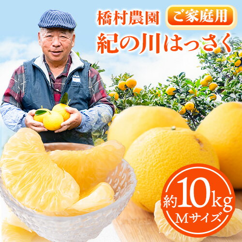 【ふるさと納税】【訳あり/ご家庭用】 紀の川はっさく 約10kg(Mサイズ) 橋村農園《2023年12月中旬-2024年2月下旬より順次出荷》和歌山県 紀の川市 八朔のサムネイル