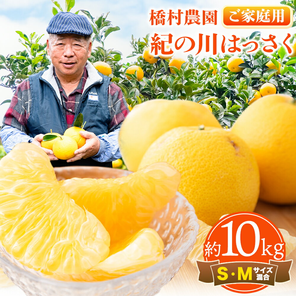【ふるさと納税】【訳あり/ご家庭用】 紀の川はっさく 約10kg (S・Mサイズ混合) 橋村農園 先行予約《2025年12月中旬-2026年2月下旬出荷》和歌山県 紀の川市 八朔 はっさく ご家庭用 訳あり