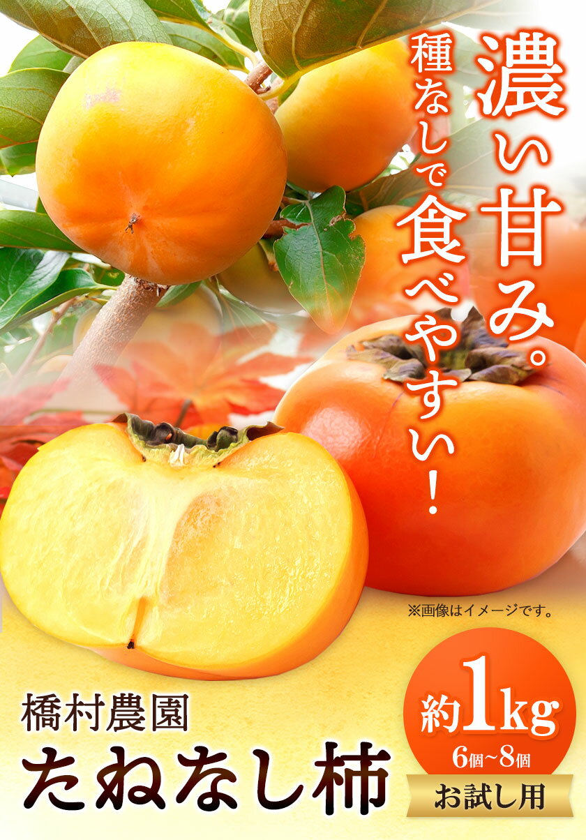 【ふるさと納税】お試し用 極めて甘い たねなし柿 6～8個 約1kg 橋村農園《2023年9月中旬-10月中旬頃より順次出荷》 和歌山県 紀の川市 柿 カキ かき 刀根早生柿 平核無柿 果物 フルーツ 送料無料