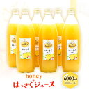 15位! 口コミ数「0件」評価「0」honey＋はっさくジュース 1000ml×6本 村上養蜂《30日以内に出荷予定(土日祝除く)》和歌山県 紀の川市