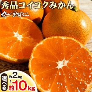【ふるさと納税】【秀品】冬のみかん コイコク(恋い告)選べる 内容量 約2kg 約3kg 約5kg 約10kg※重量には箱の重量も含まれております※ 黒潮フルーツファーム《2025年11月下旬-12月下旬頃出荷》和歌山県 紀の川市 みかん ミカン 果物 フルーツ 柑橘