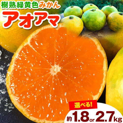 【ふるさと納税】樹熟緑黄色ミカン【アオアマ(蒼甘YN)】選べる内容量 約1.8kg 約2.7kg 黒潮フルーツファーム《10月上旬-11月上旬頃出荷》和歌山県 紀の川市 みかん 果物 フルーツ くだもの 旬 柑橘