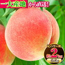 【ふるさと納税】先行予約 桃 もも 和歌山県産 約2kg 6月中旬-8月上旬頃より順次出荷 紀の里の