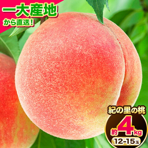 【ふるさと納税】先行予約 桃 もも 和歌山県産 紀の里の桃 