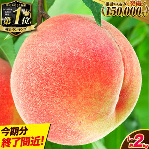 【ふるさと納税】4年連続 総合1位獲得!!選べる発送時期 容量 定期便 約2kg(6〜8玉)or 食べ比べ定期便約2kg×2回(6月,7月出荷)orお試し約1kg(3~5玉) 高レビュー 先行予約《2025年6月中旬-8月中旬頃出荷》桃 もも モモ 果物 白鳳 日川白鳳 清水白桃