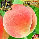 1位! 口コミ数「4,998件」評価「4.51」4年連続 総合1位獲得!!安心のクール便 約2kg(6〜8玉) 高レビュー 【2026年先行予約】《2026年6月中旬-8月中旬頃出荷》【一部離島配送不可】桃 もも モモ 果物 白鳳 日川白鳳 清水白・・・