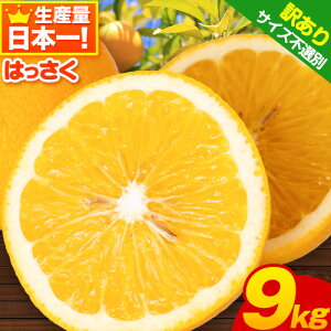 【ふるさと納税】【訳あり/ご家庭用】紀の川市産 はっさく 約9kg (4L~Sサイズ サイズ不選別)早生・晩生指定不可《2月上旬-4月中旬に順次出荷(土日祝除く)》和歌山県 紀の川市 産地直送 みかん 八朔 柑橘 果物 フルーツ ご家庭用 ビタミンC たっぷり 8000円