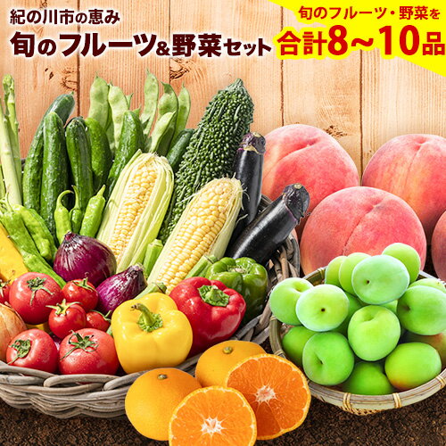 紀の川市の恵み 旬のフルーツ＆野菜セット 計8~10品《30日以内に出荷予定(土日祝除く)》和歌山県 紀の川市 フルーツ 果物 野菜 セット 桃 梅 みかん 新玉ねぎ なす トマト キャベツ