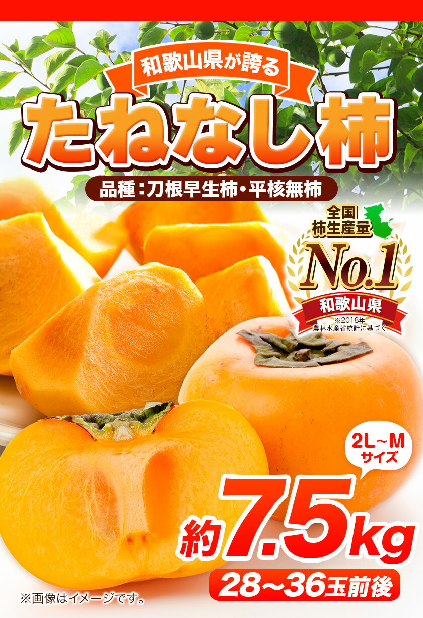 【ふるさと納税】たねなし柿（刀根早生柿・平核無柿）約7.5kg（28～36玉前後） 《2024年9月下旬-10月下旬頃出荷(土日祝除く)》 和歌山県 紀の川市 種なし柿 産地直送 柿 果物 フルーツ 2L～Mサイズ カキ 3