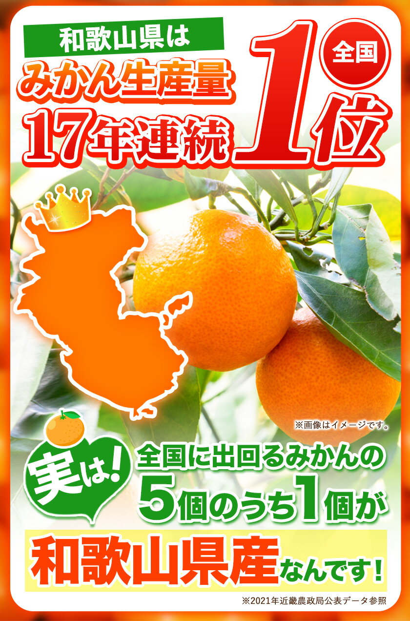 【ふるさと納税】訳あり 和歌山みかん 約5kg 5キロ 和歌山県産 《10月末-12月中旬頃より順次出荷》たっぷり ご家庭用 2L～2S 産地直送 みかん 旬 蜜柑 ミカン 柑橘 果物 フルーツ 和歌山県 紀の川市