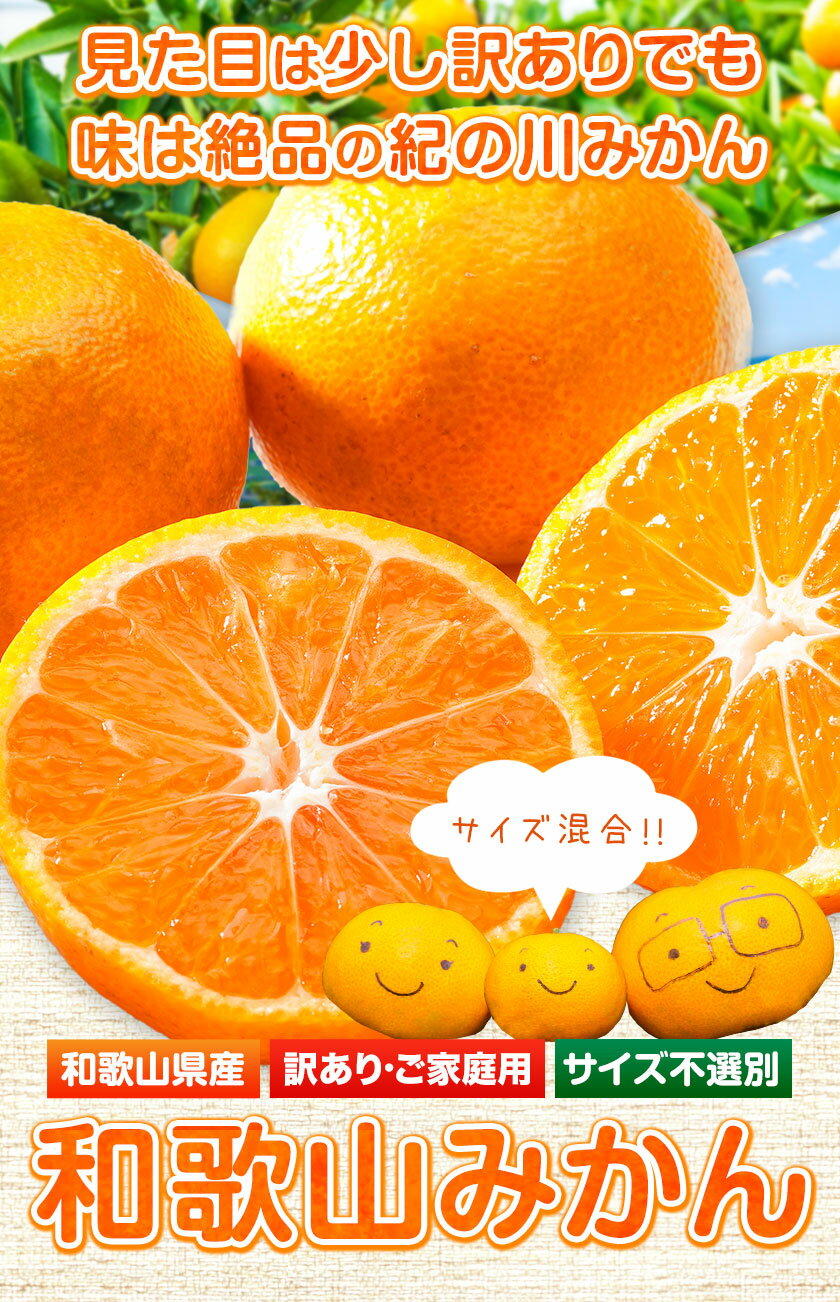 【ふるさと納税】みかん王国和歌山よりお届け！【訳あり/サイズ不選別】 和歌山みかん 選べる 内容量 1.9kg 5kg 約10kg 和歌山県産【楽天限定】《2025年11月中旬-1月中旬頃出荷》たっぷり ご家庭用 2L〜2S みかん 旬 蜜柑 ミカン 柑橘 果物 フルーツ 和歌山県 紀の川市