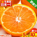 【ふるさと納税】【楽天限定】みかん王国和歌山よりお届け!【訳あり/サイズ不選別】 和歌山みかん 選べる 内容量 5kg 約10kg 和歌山県産 先行予約 《20...