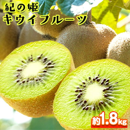 和歌山県紀の川市産 紀の姫キウイフルーツ約1.8kg【サイズお任せ/秀品】 紀の川市厳選館 《2024年1月中旬から年4月中旬頃より出荷予定》 和歌山県 紀の川市 果物 フルーツ キウイ 紀の姫