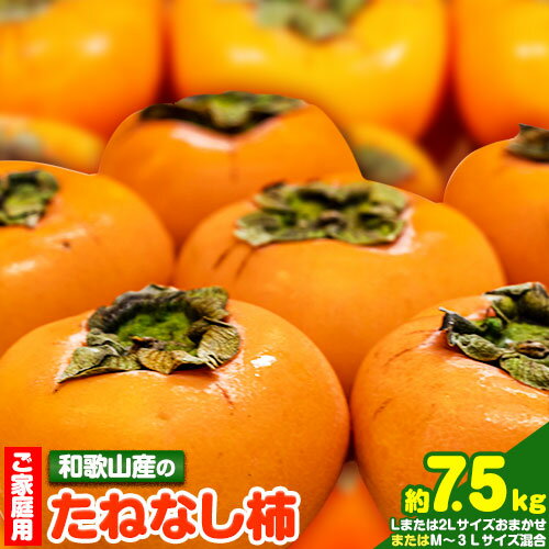 [ご家庭用]和歌山産のたねなし柿約7.5kg1箱約7.5kgM〜3Lサイズ[サイズお任せ](個数目安:28玉〜40玉)[10月上旬-11月末頃より出荷予定] 和歌山県 紀の川市 紀の川市厳選館 柿 カキ かき ジューシー フルーツ 秋の味覚 刃根早生 平核無柿