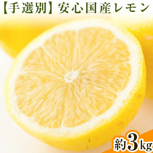 【ふるさと納税】【手選別・産直】紀の川市産の安心国産レモン 約3kg 柑橘《12月・1月出荷》 紀の川市厳選館 和歌山県 紀の川市 フルーツ 果物