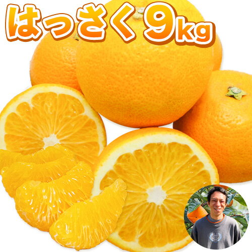 【ふるさと納税】まーくん家の八朔 9kg 《2026年2月上旬-3月末頃出荷》 和歌山県 紀の川市 柑橘 はっさく きただ農園まーくん家 化学肥料・除草剤不使用 【ふるさと納税】まーくん家の八朔 9kg 《2026年2月上旬-3月末頃出荷》 和歌山県 紀の川市 柑橘 はっさく きただ農園まーくん家 化学肥料・除草剤不使用