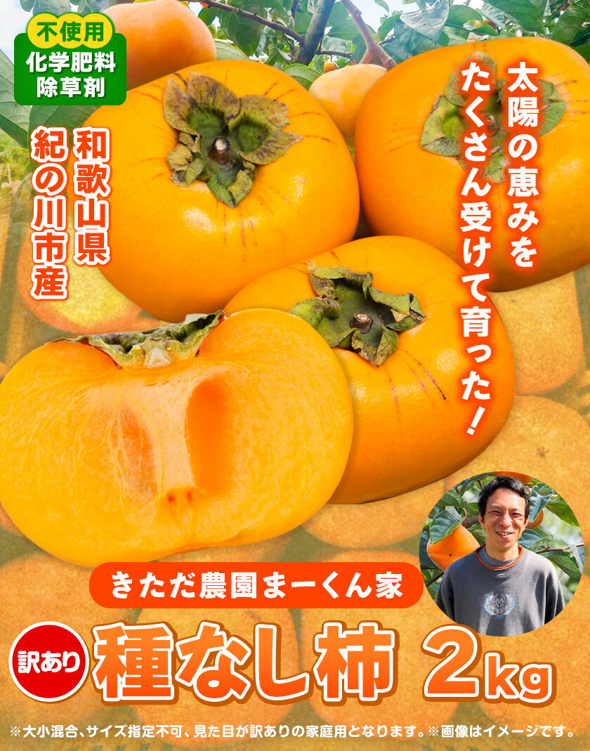 【ふるさと納税】【先行予約】【訳あり】まーくん家のたねなし柿 2kg 《2025年9月下旬-10月末頃出荷》 かき 種なし きただ農園まーくん家 和歌山県 紀の川市 ご家庭用