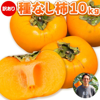 【先行予約】【訳あり】まーくん家のたねなし柿 10kg 《2024年9月下旬-10月末頃出荷》 かき 種なし きただ農園まーくん家 和歌山県 紀の川市 ご家庭用