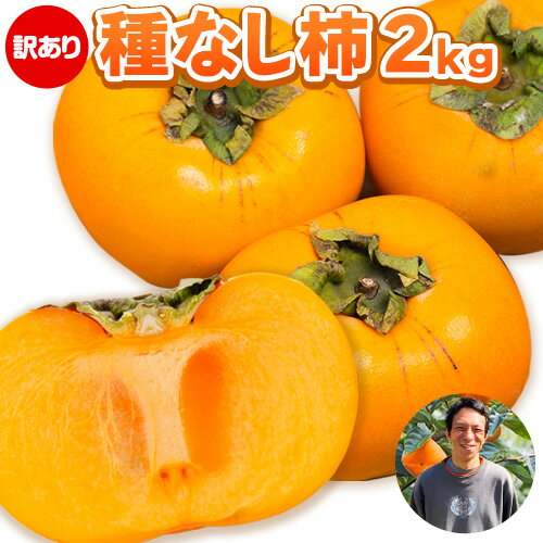 【先行予約】【訳あり】まーくん家のたねなし柿 2kg 《2024年9月下旬-10月末頃出荷》 かき 種なし きただ農園まーくん家 和歌山県 紀の川市 ご家庭用