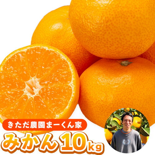 【ふるさと納税】まーくん家のみかん 10kg 《11月中旬-12月中旬頃出荷》 和歌山県 紀の川市 柑橘 きただ農園まーくん家 化学肥料・除草剤不使用