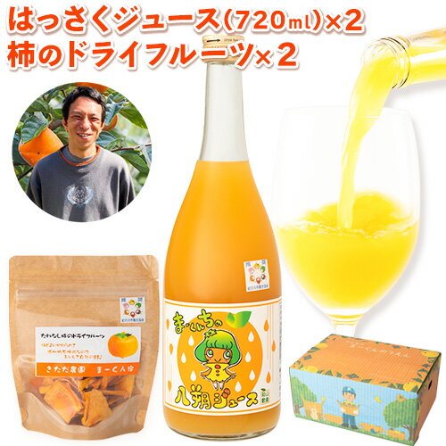 【ふるさと納税】まーくん家のはっさくジュース（720ml×2