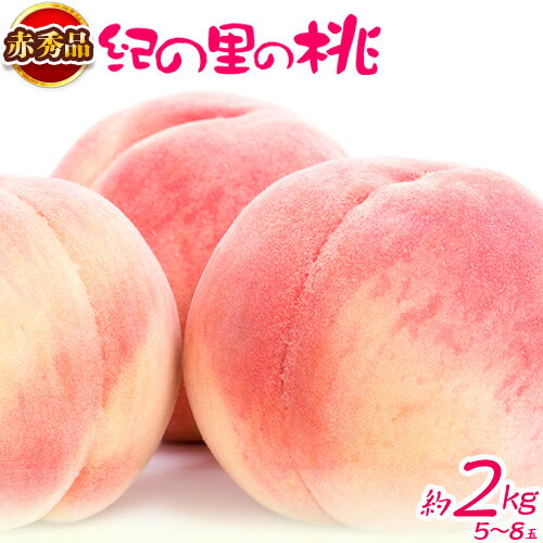 【ふるさと納税】赤秀品 紀の里の桃 約2kg（5～8玉）もぎたて商店 《2023年6月上旬-8月上旬頃より順次出荷》 和歌山県 紀の川市 桃 もも モモ 光センサー選果 厳選のサムネイル