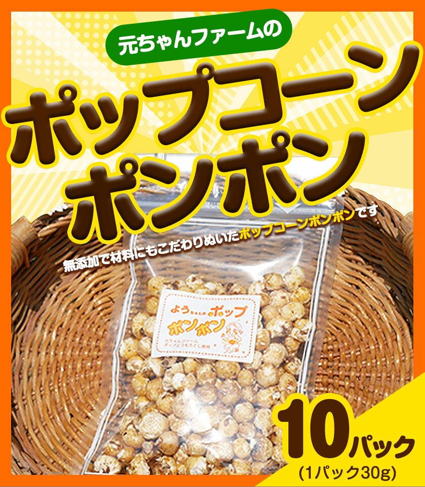 【ふるさと納税】ポップコーンポンポン 元ちゃんファーム《30日以内に出荷予定(土日祝除く)》 和歌山県 紀の川市 トウモロコシ 菓子 ポップコーン 送料無料