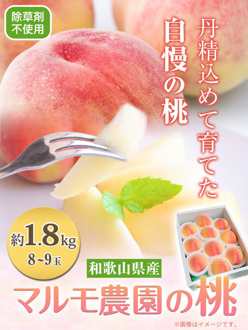 【ふるさと納税】山形県産 幸水 梨 秀品 約3kg(6〜10玉) 【令和7年産先行予約】FU23-442 くだもの 果物 フルーツ 山形 山形県 山形市 2025年産
