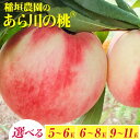 【先行予約】【ふるさと納税】桃 あら川の桃(白鳳・なつっこ・川中島の中から旬の桃をお届け)選べる内容量 5-6玉(ギフトボックス小) 6-8玉(ギフトボックス中) 9-11玉(ギフトボックス大) 稲垣農園《2025年7月上旬-8月末頃出荷》 和歌山県 紀の川市 桃 もも 旬