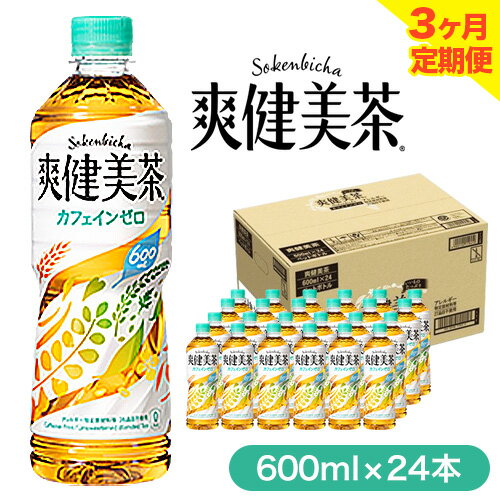 [ 3ヶ月 定期便 ] 爽健美茶 600ml×24本 コカ・コーラボトラーズジャパン(株) [お申込み月翌月から出荷開始] 和歌山県 紀の川市 お茶 茶 ハトムギ 玄米 月見草