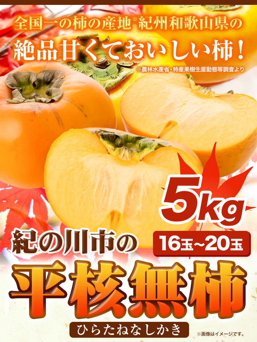 【ふるさと納税】平核無柿 5kg (16~20玉) こだまファーム《2024年9月中旬-10月下旬頃出荷》 和歌山県 紀の川市 柿 カキ かき 果物 フルーツ 送料無料 2