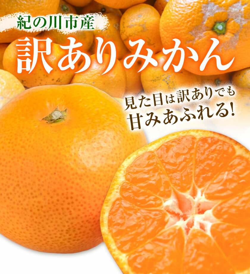 和歌山県紀の川市の画像2