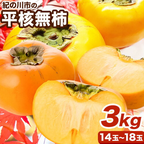[先行予約]平核無柿 約3kg (14~18玉) こだまファーム[2025年9月中旬-11月中旬頃出荷] 和歌山県 紀の川市 柿 カキ かき 果物 フルーツ 送料無料